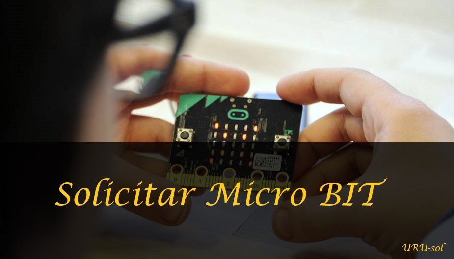 pedir micro bit